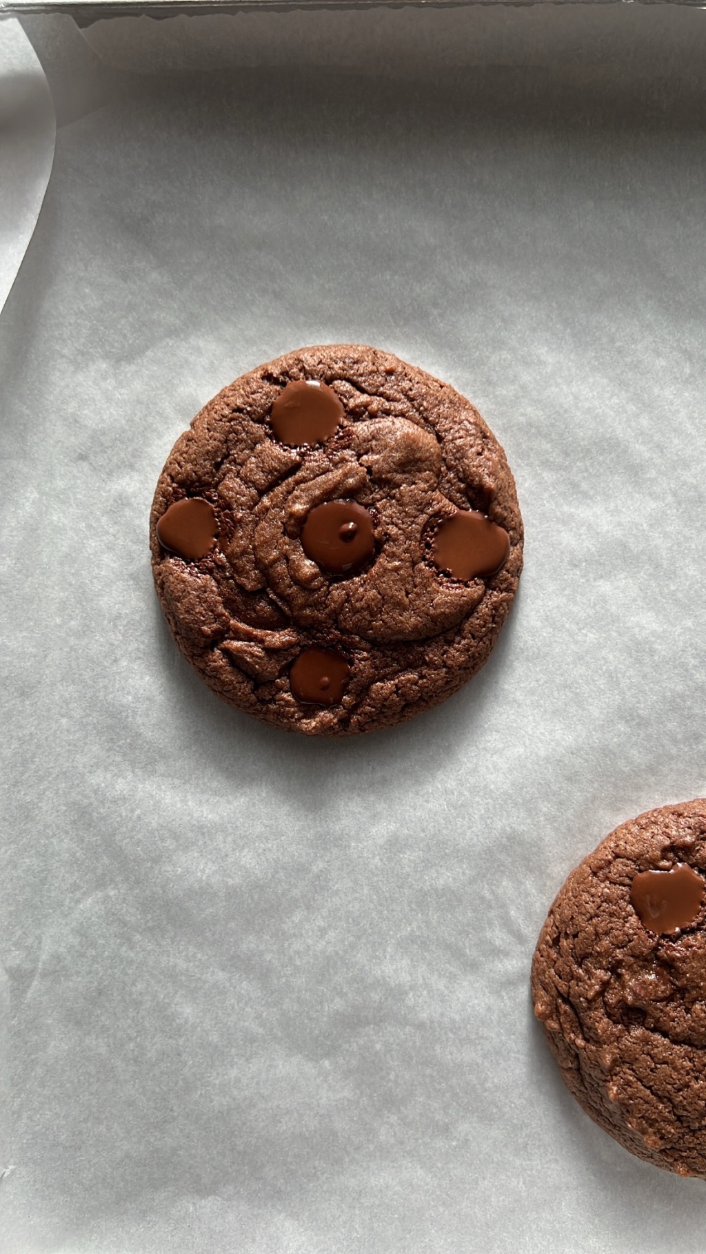 Whole Wheat Double Chocolate Chip Cookie (Eggless & made with atta)